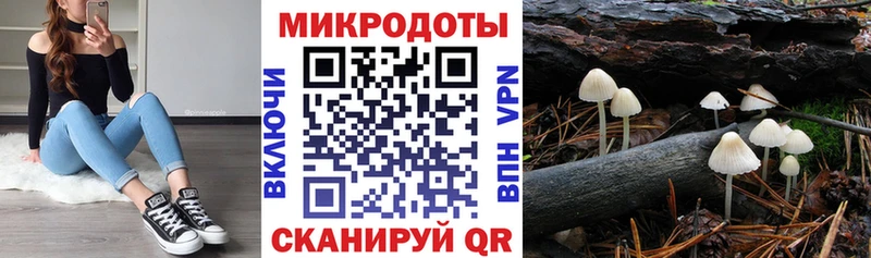 Псилоцибиновые грибы мухоморы  продажа наркотиков  Мещовск 